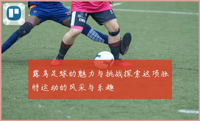 露鸟足球的魅力与挑战探索这项独特运动的风采与乐趣