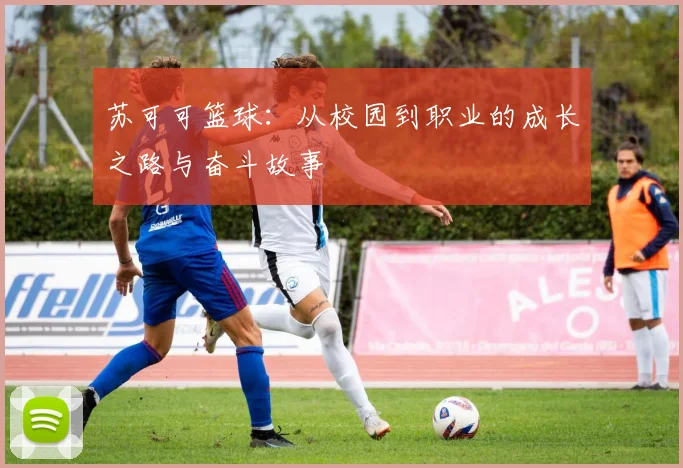 苏可可篮球：从校园到职业的成长之路与奋斗故事